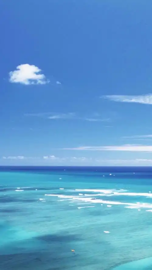 1600_2843竖版 竖屏