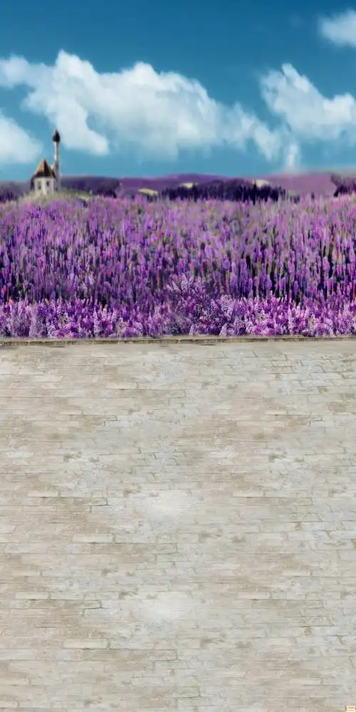 摄影背景布高清大图影楼棚拍照片常用的背景素材-春天的花儿背景30p