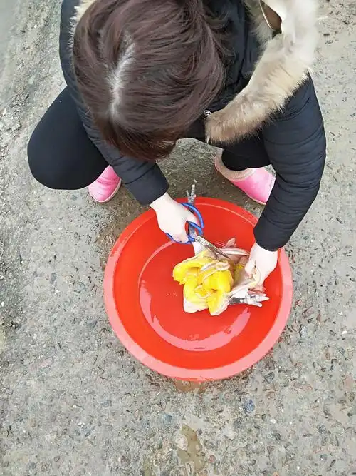 看!俺的女汉子妈妈正在杀鸡呢!