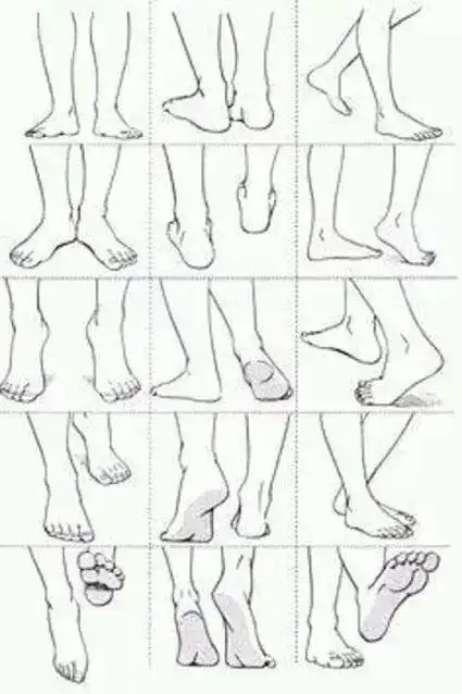 超多张脚部绘画参考!