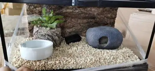 全景观赏】爬宠蜥蜴饲养箱透明爬宠玻璃饲养箱豹纹守宫蜥蜴宠物玻璃缸