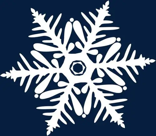 白色雪花漂浮自然立体落雪特效免抠元素【免抠元素png】-90设计网