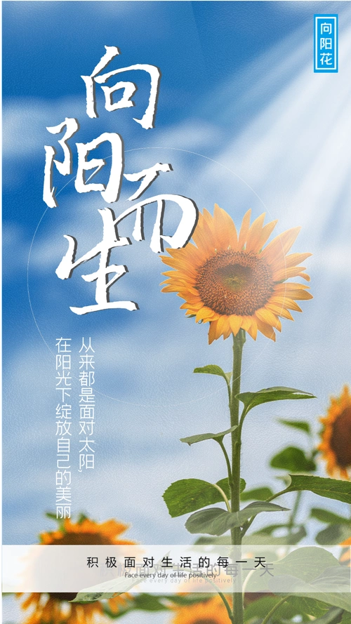 正版向日葵积极向上企业文化励志摄影图海报正版简洁大气快乐童年健康