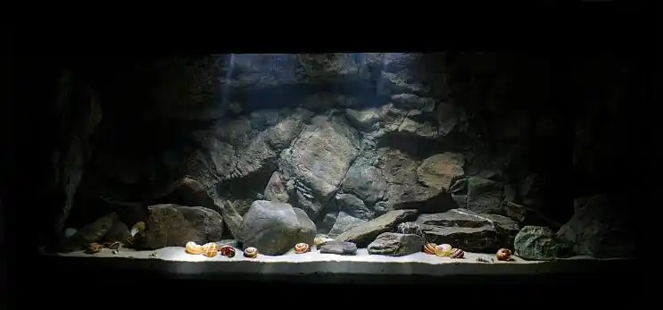 一些三湖缸的造景照片