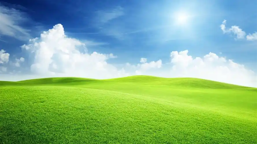 it小小鸟生存指南it小小鸟生存指南