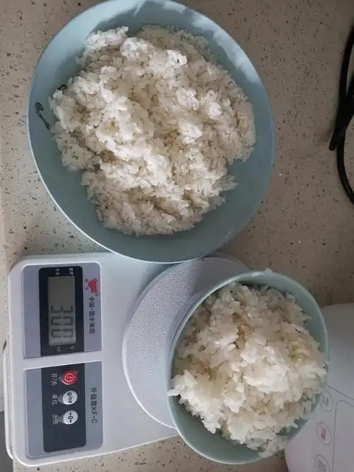 300g米饭基本上是男生的量了