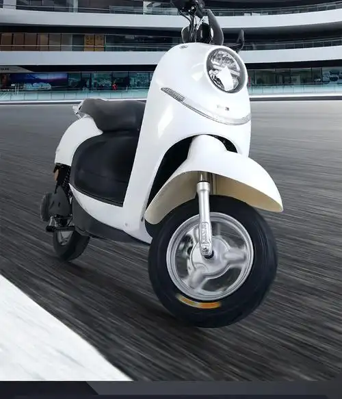 新大洲电动车parray小龟王60v电动轻便摩托车pr600dqt4ae1