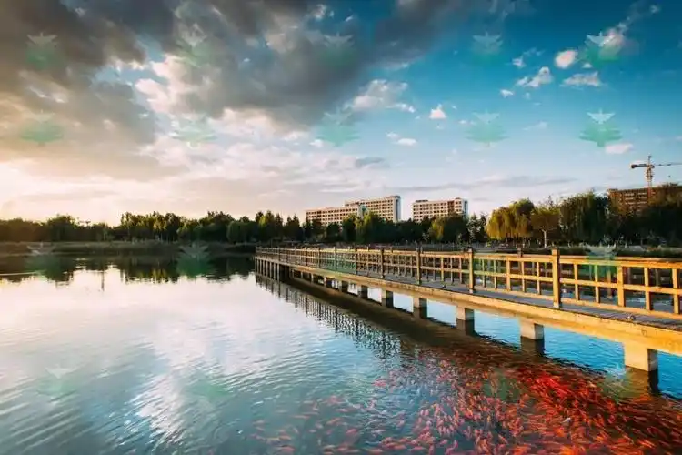 在水中畅游为朝气的校园,增添了一抹野趣(图源:北京理工大学官网)夏天