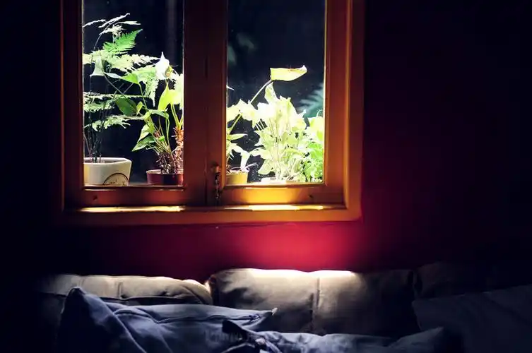 窗 br /> 慵懒的窝在凉爽的房间里,看着阳光照在对面的沙发上.