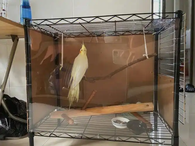 自己动手做了个鸟笼