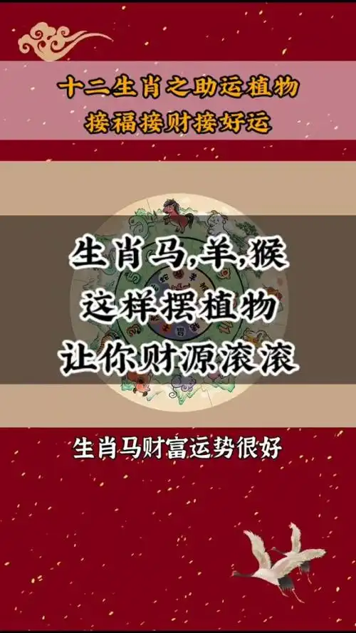 属马,羊,猴的看过来,家里有这些植物,旺财助运