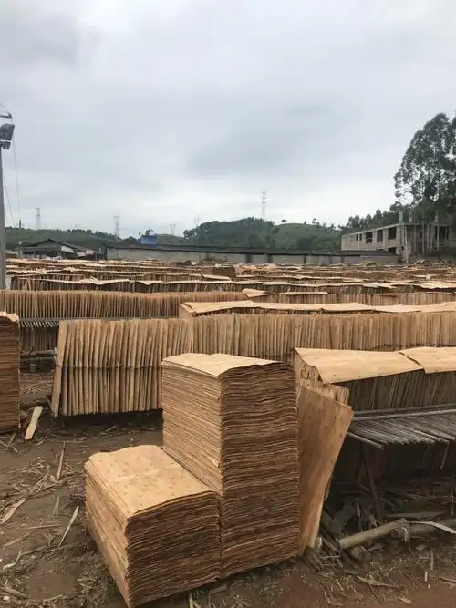 [桉木批发]长期供应:桉木板材,桉木单板,木皮木片,木芯棍,桉树原木,价