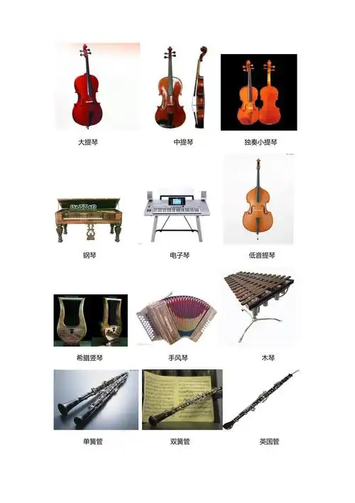 常见西洋乐器名称和图片大全