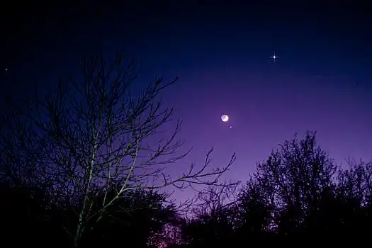 夜空,月亮,金星,上方,德国,四月