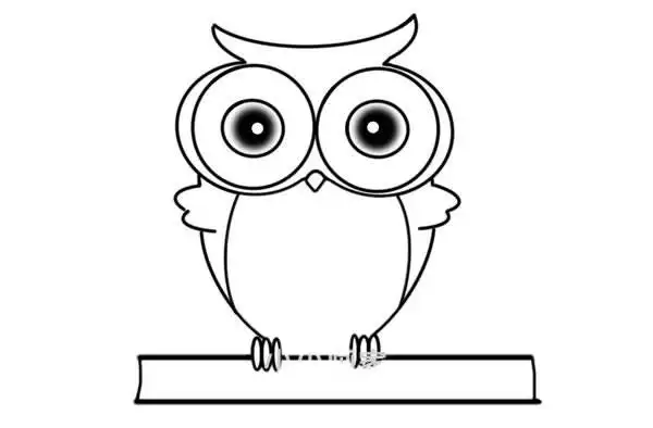 猫头鹰怎么画可爱呆萌猫头鹰简笔画步骤图解教程