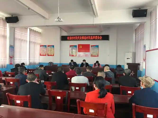 双龙村第十一届村民委员会换届选举工作部署