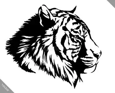 老虎矢量插图黑白线条画兔图黑白线画画小丑鱼插画艺术几何立方体抽象