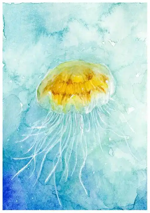 水母水彩画 水母水彩画儿童画