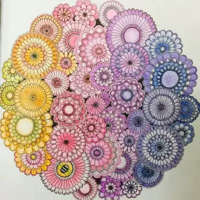 0条  收集   点赞  评论  秘密花园中出镜率很高的花哦 彩铅教程 配色