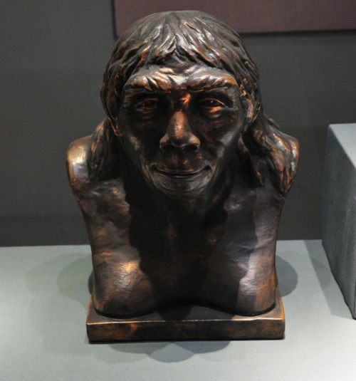 原创 科学观察 3天前 我要分享 根据现在科学发现的材料,原始人类的