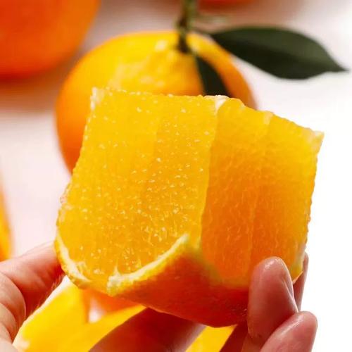 正宗红美人柑橘爱媛28号果冻橙新鲜桔子象山皮薄爆汁超甜平和采摘