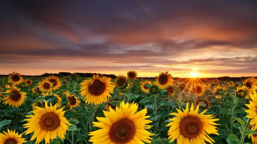 唯美大好河山高清桌面壁纸图片