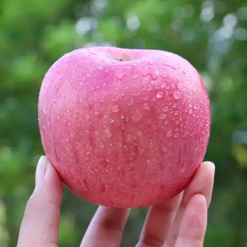 【靓果汇】2021新鲜山西富士苹果10斤带箱 单果约70-75mm 红富士 脆甜