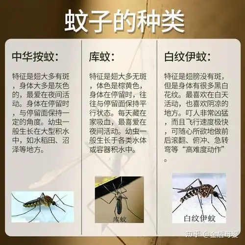 疟蚊属和家蚊属等(每个属的成员们分别对应我们常说的伊蚊,按蚊,库蚊)