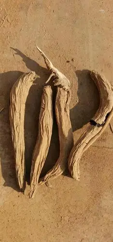 玄参加工亳州市凡一合作社咸阳玄参