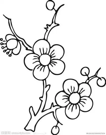 简简笔画花玫瑰花简笔画简笔画花朵图片大全 - 5068教你学画画花草简