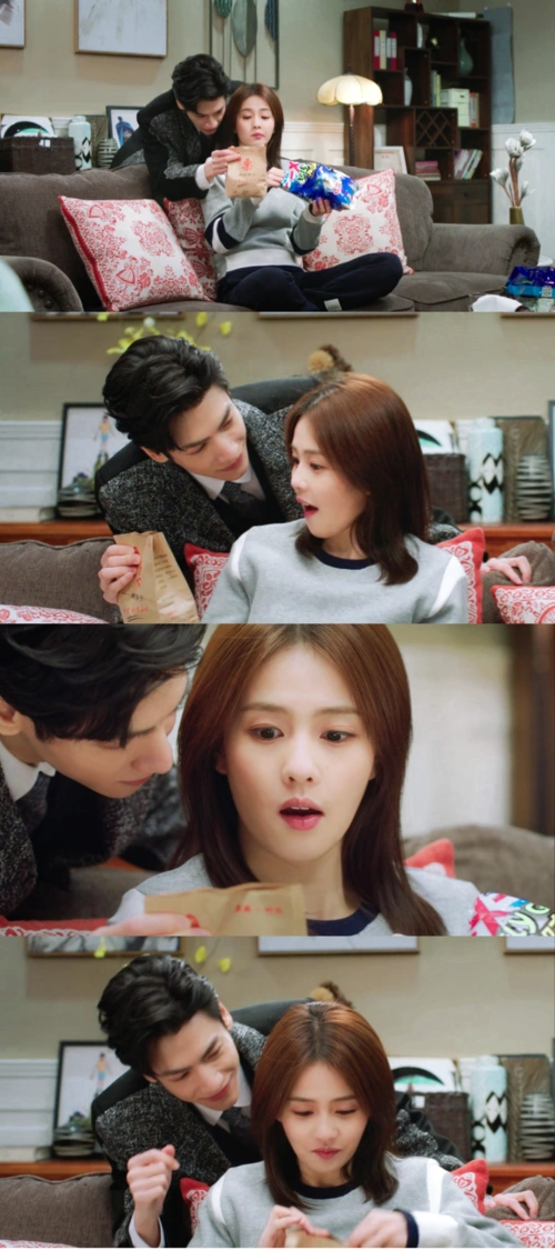 半是蜜糖半是伤/袁味糖江/白鹿罗云熙