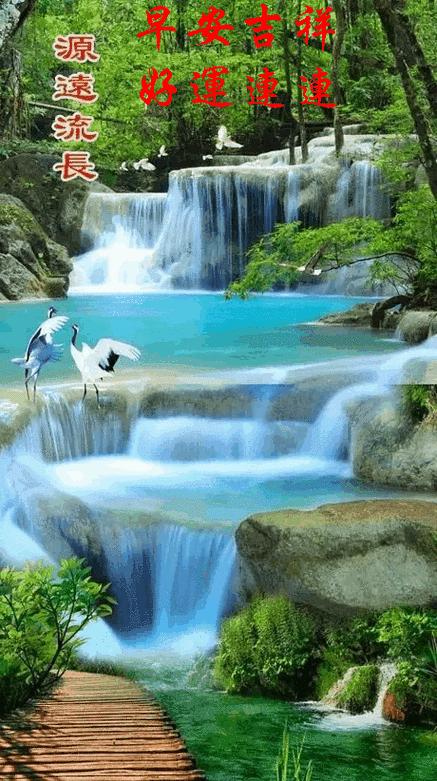 460_822竖版 竖屏gif 动态图 动图