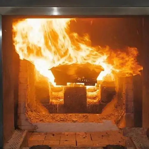 家属靠近否则会有无法承担的后果|遗体|尸体|火化|火化炉_网易订阅