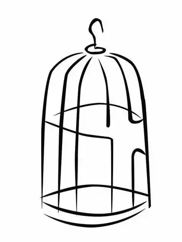 各式鸟笼,精美养眼