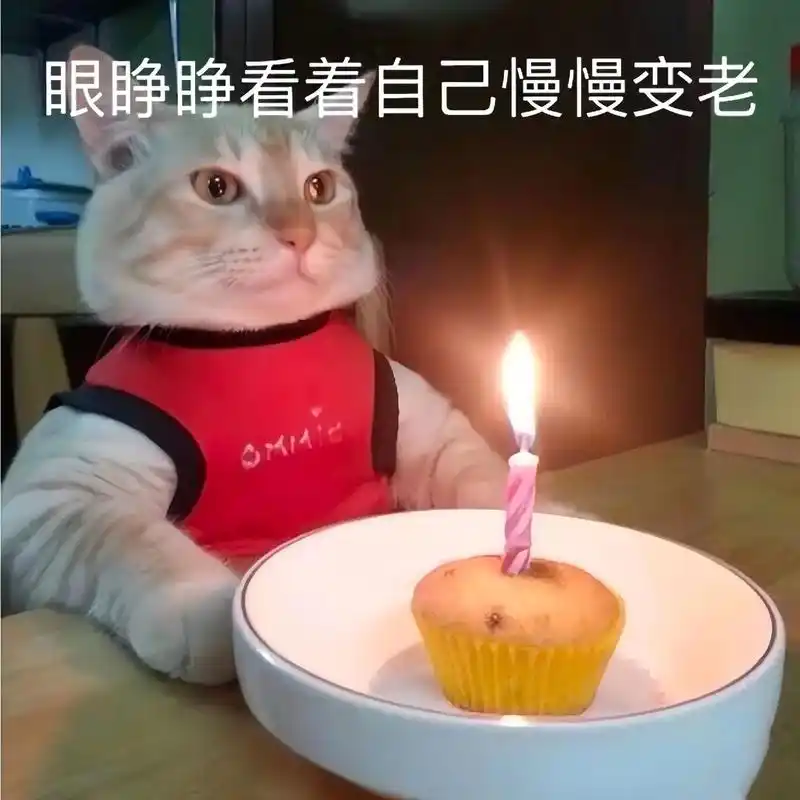 听说你的生日快到了.#表情包 #爱自己的100种方式 #生日 - 抖音