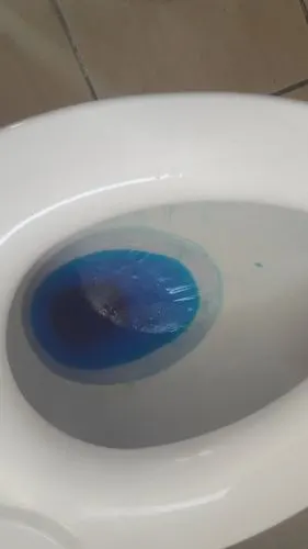 厕所里的马桶水表面竟然也冷到结冰了