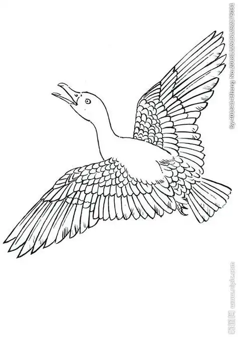 大雁怎么画 大雁怎么画简单