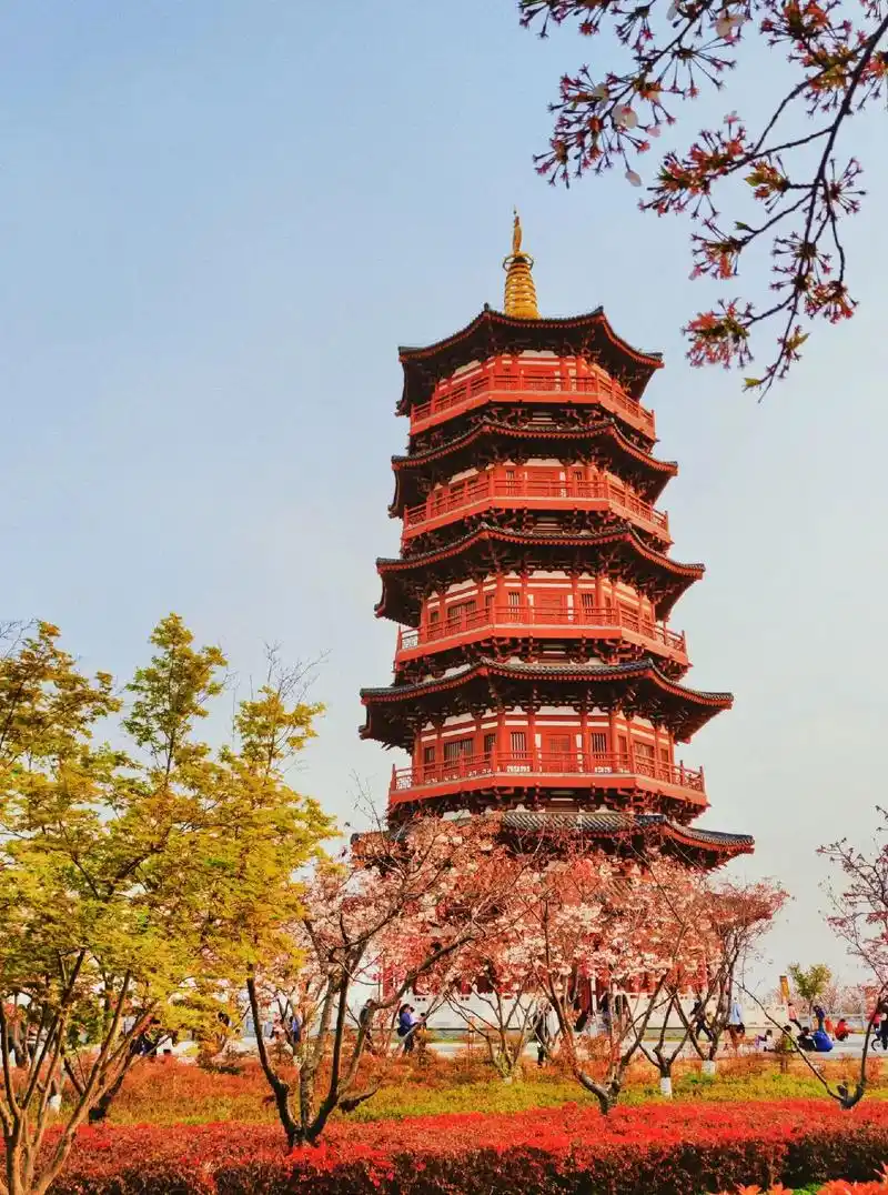 #图文伙伴计划 瀍壑朱樱是洛阳八小景之一.瀍河流经邙山,年久 - 抖音