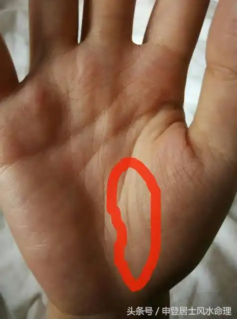 自测手相特征:双重生命线代表什么?