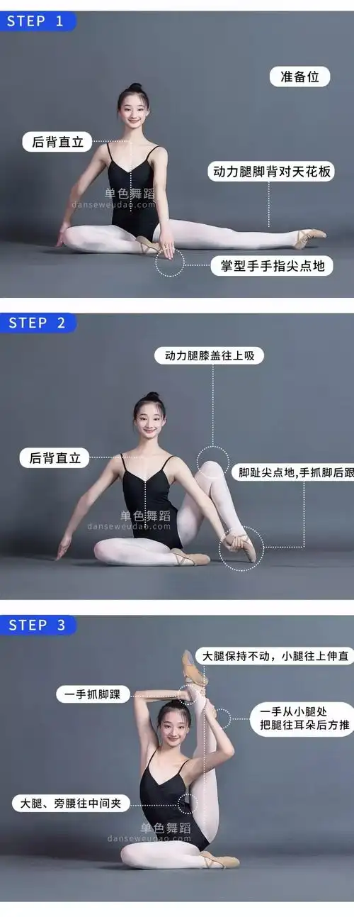 德江县舞之梦艺术学校〖基本功讲解