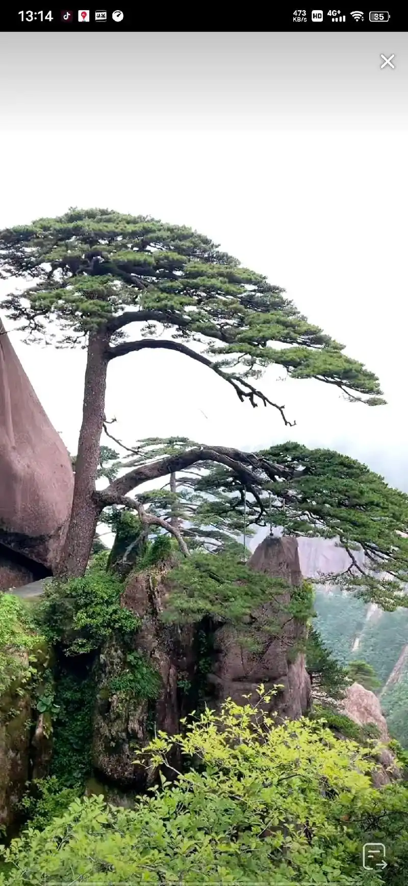 登上黄山天都峰,那使人腾云驾雾感觉, - 抖音