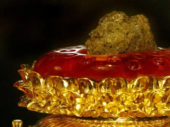 释迦牟尼佛舍利