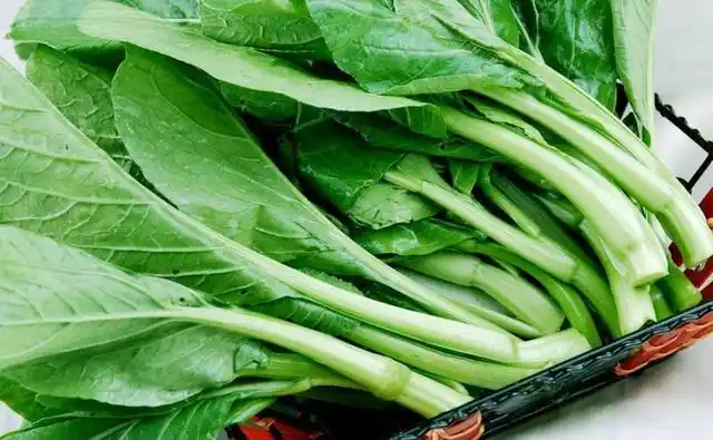 广东菜心长多高可以采摘(菜心是南方的特产蔬菜)(5)