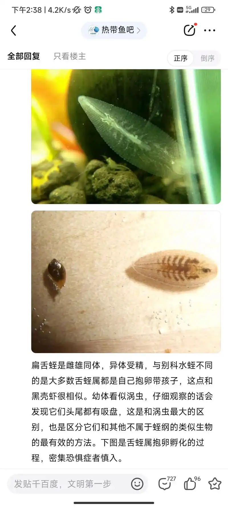 未知生命体破案了010101.