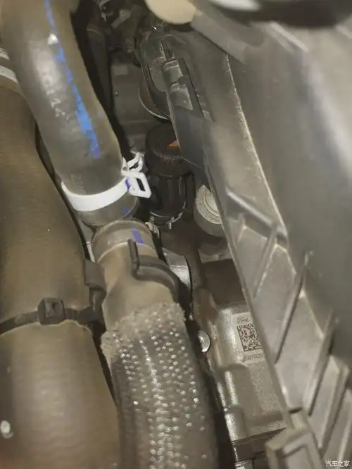 变速箱透气孔严重渗油有车友修理过的么