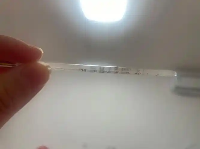 昨晚体温飙到39度,今早起来以为自己好了,换了三个温度计还是38度多