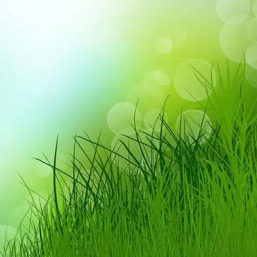 绿草背景,绿草背景
