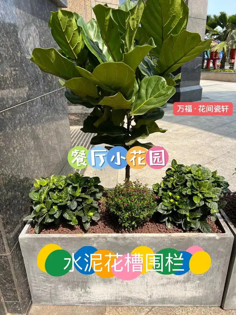 餐厅,各类店铺门口都9315 水泥花盆组合花槽 经济实惠又美观 - 抖