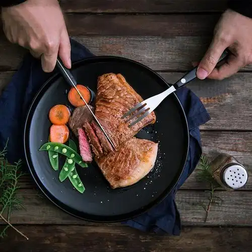 德国法克曼fackelmann 西餐餐具 不锈钢牛排刀牛排叉西餐刀叉套装标准