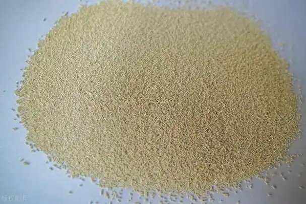 酵母培养物,活性干酵母,酵母水解物有什么区别?